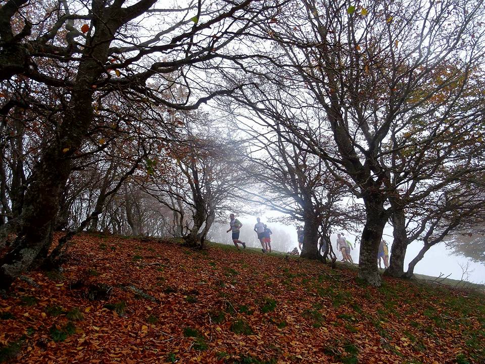 Marató del Montseny